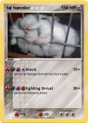 fat hamster