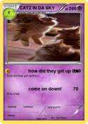 CATZ IN DA SKY CATZ IN DA SKY