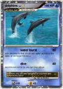 dolphins