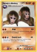 Darwin's Monkey