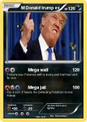 M Donald trump ex M Donald trump