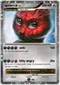 spidercat