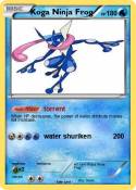 Koga Ninja Frog