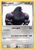 buffest pigeon