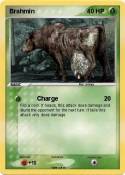 Brahmin