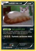 Turkish van cat Turkish van cat