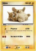 Kitten