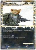 Colonel Cat
