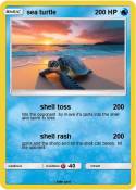 sea turtle