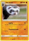 fisty ferret
