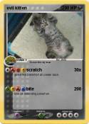 evil kitten