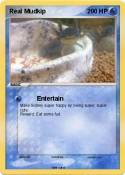 Real Mudkip