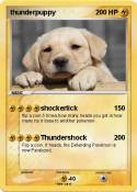 thunderpuppy