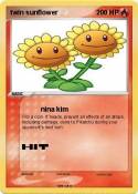 twin sunflower