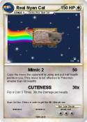 Real Nyan Cat Real Nyan Cat