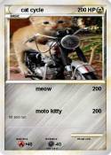 cat cycle