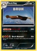 Bruh Flag