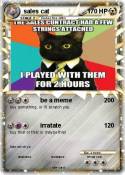 sales cat
