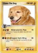Chase The Dog