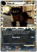 Ninja cat