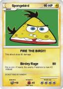 Spongebird