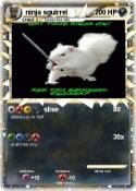 ninja sguirrel