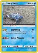 Baby Turtle