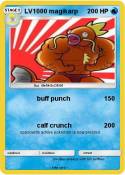 LV1000 magikarp