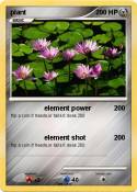 plant