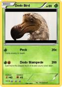 Dodo Bird Dodo Bird