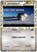 Journeying cat