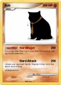 Bob
