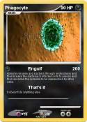 Phagocyte