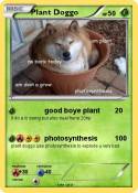 Plant Doggo