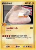 Wisis Hund