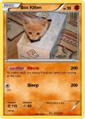 Box Kitten