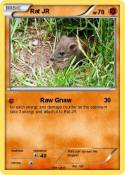 Rat JR