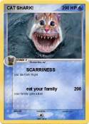 CAT SHARK!
