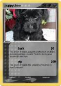 puppychoo