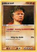 political stuff