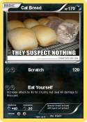 Cat Bread