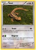 Newt