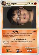 Andre puff