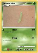 the caterpillar