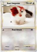 Real Zangoose