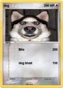 dog