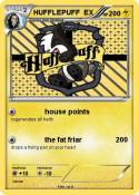 HUFFLEPUFF EX