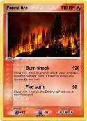 Forest fire