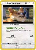 Bob The Corgi