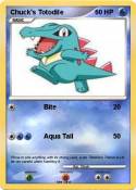 Chuck's Totodile Chuck's